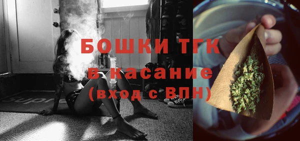 амф Пестово