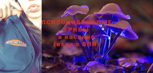 амф Пестово